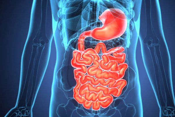 Gastrointestinal-&-Metabolic